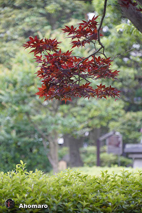 写真00