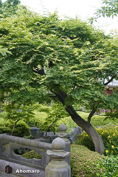 写真00