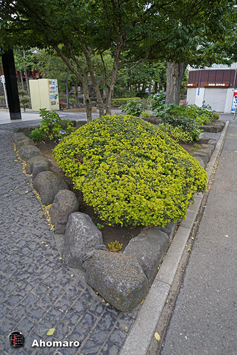 写真00