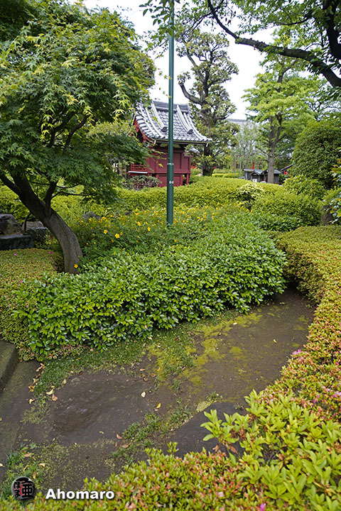 写真00