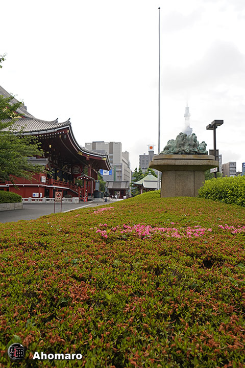写真00