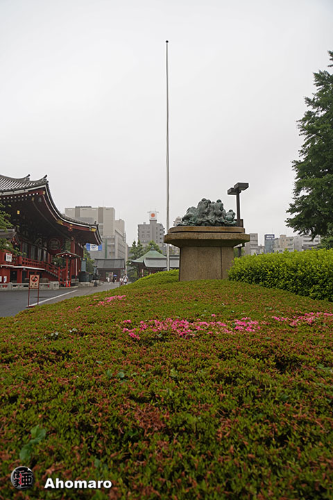 写真00