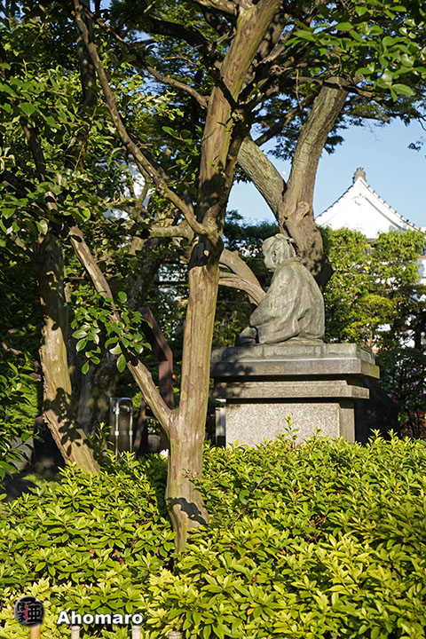写真00