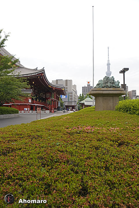 写真00