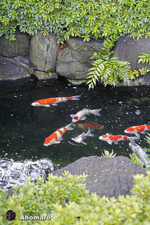 写真00