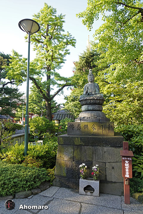 写真00