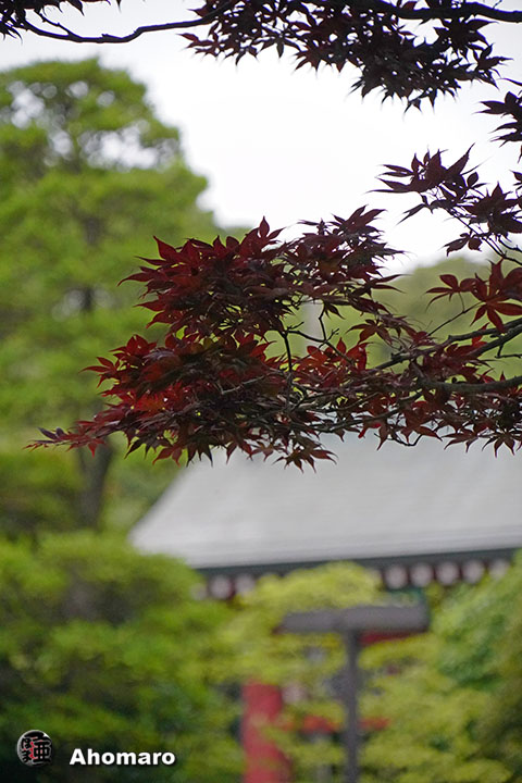 写真00
