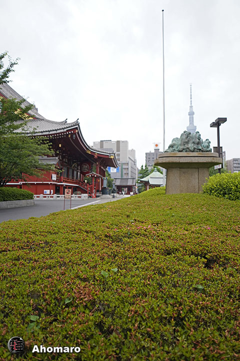 写真00