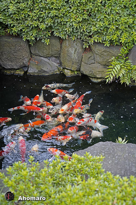 写真00