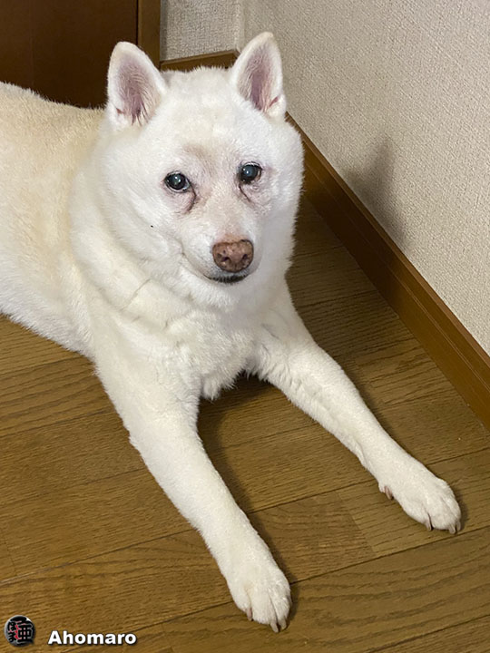写真00
