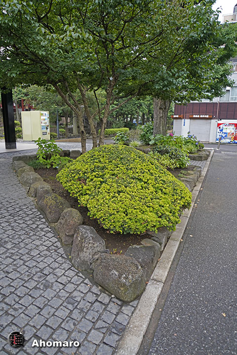 写真00