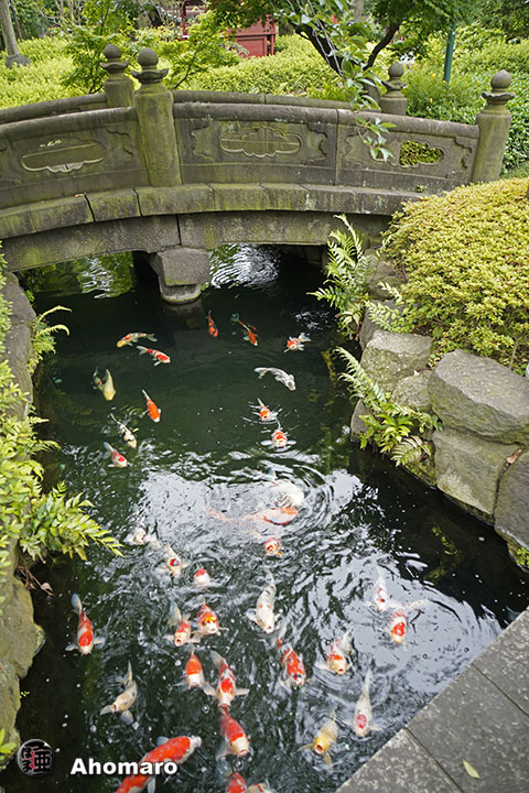 写真00
