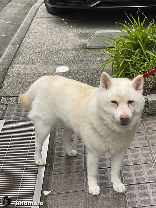 写真00
