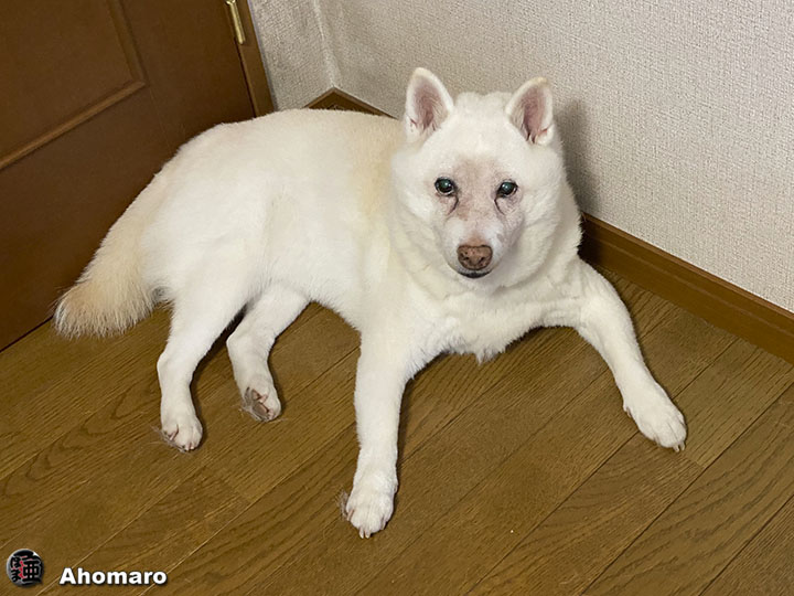 写真00