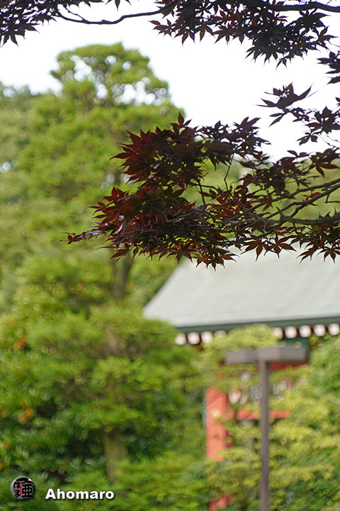 写真00