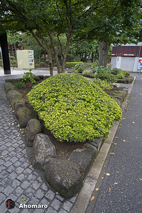 写真00