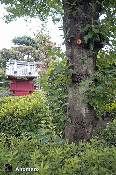 写真00