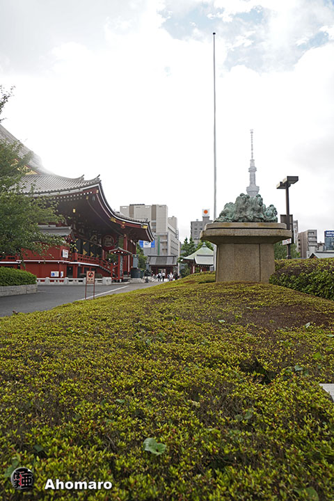写真00