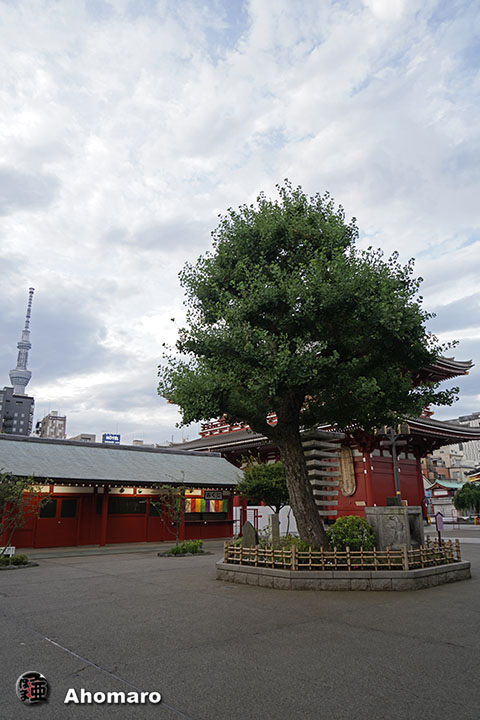写真00