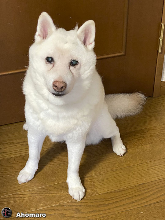 写真00