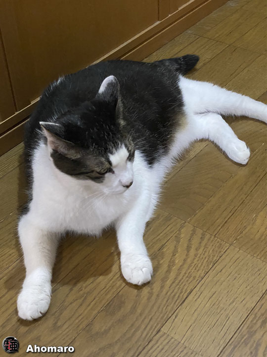 写真00