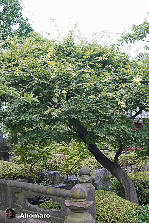 写真00