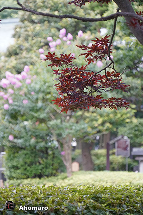 写真00