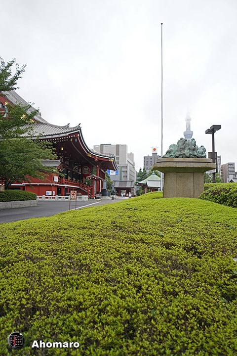 写真00