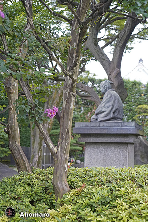 写真00