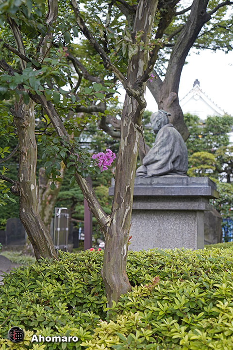 写真00