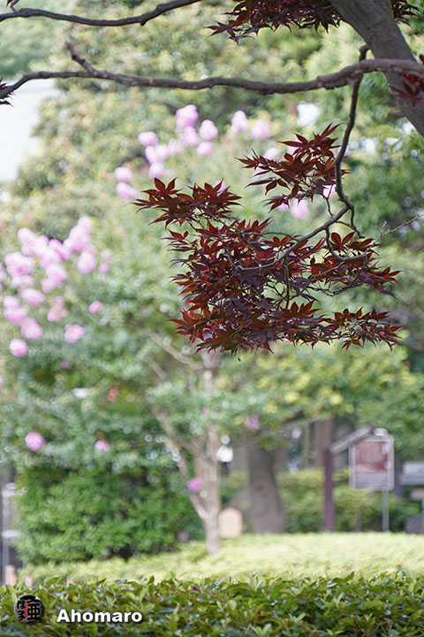 写真00