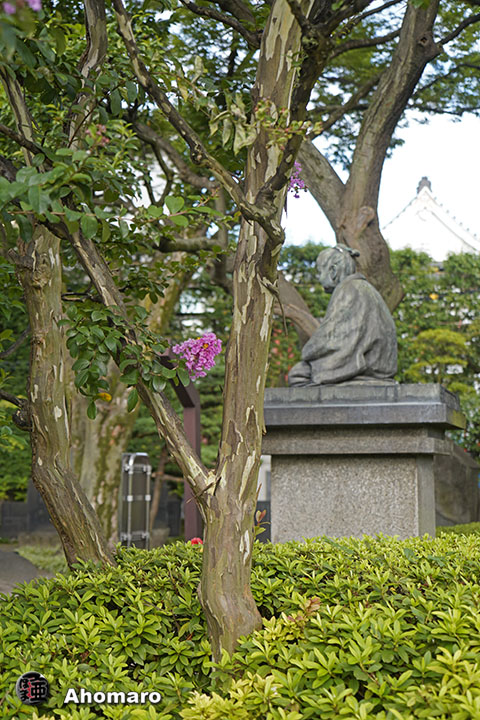 写真00