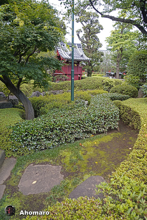 写真00