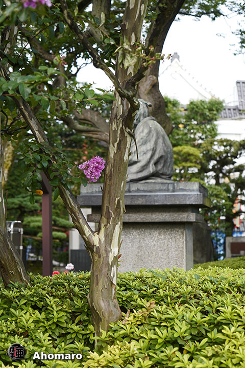 写真00