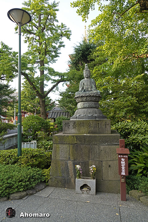 写真00
