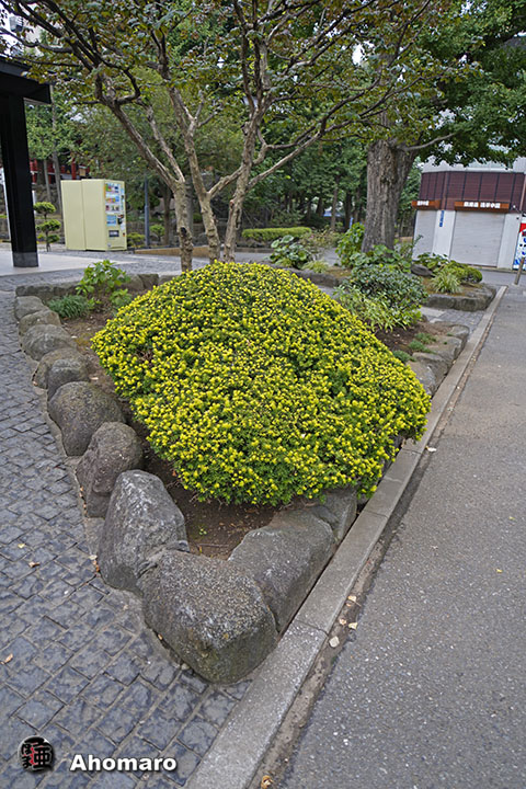 写真00