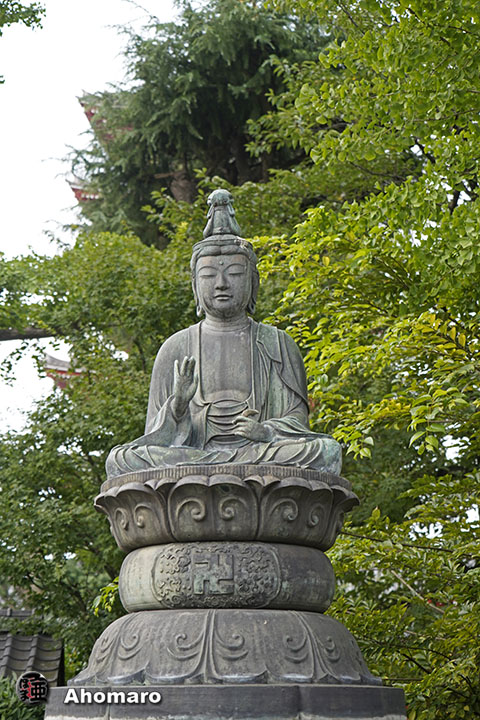 写真00
