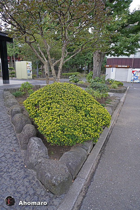 写真00
