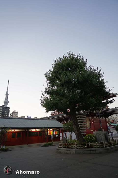 写真00