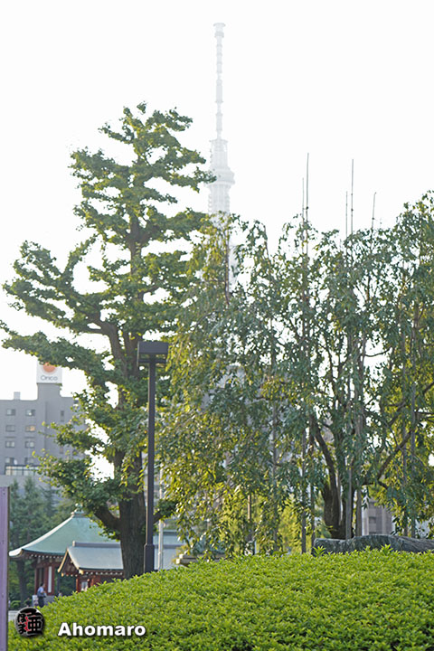 写真00