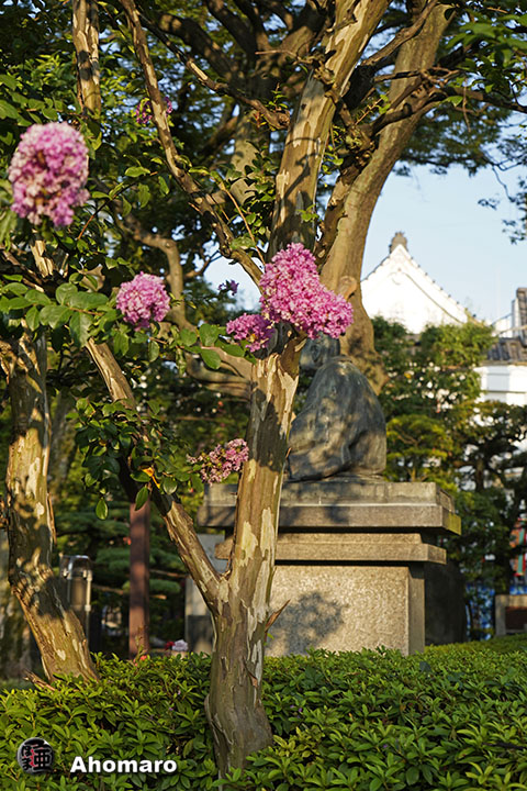 写真00