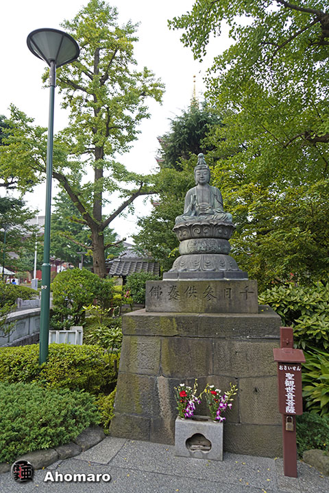 写真00
