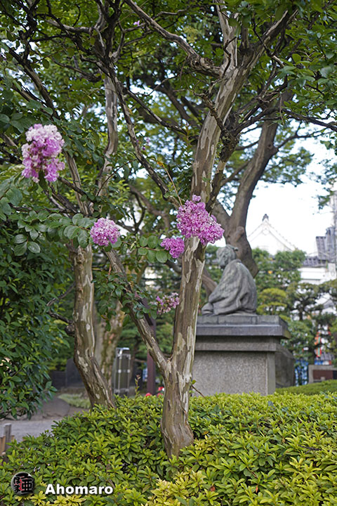 写真00