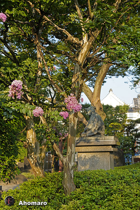 写真00