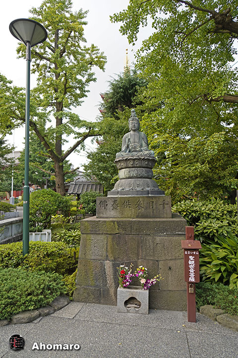 写真00