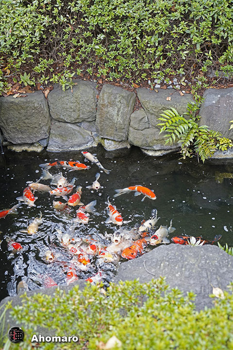 写真00
