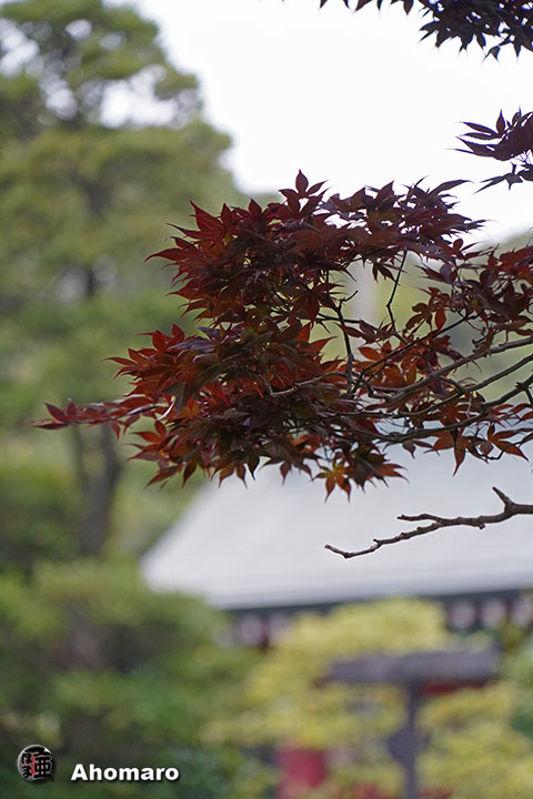 写真00