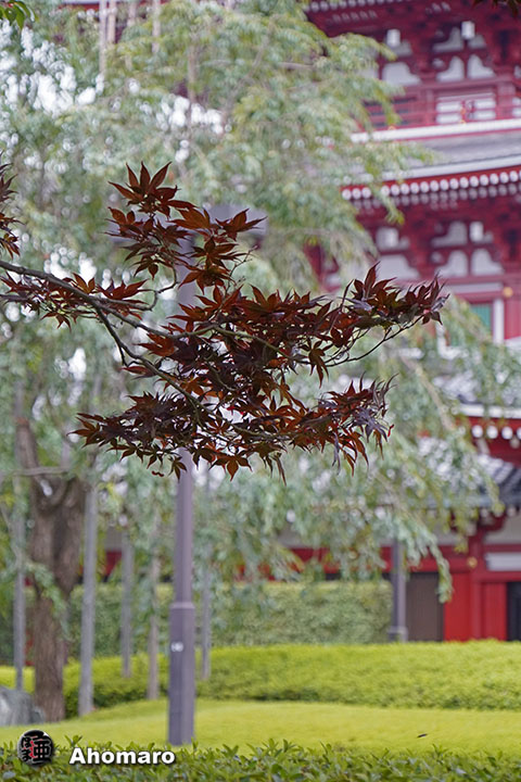 写真00