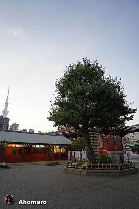 写真00