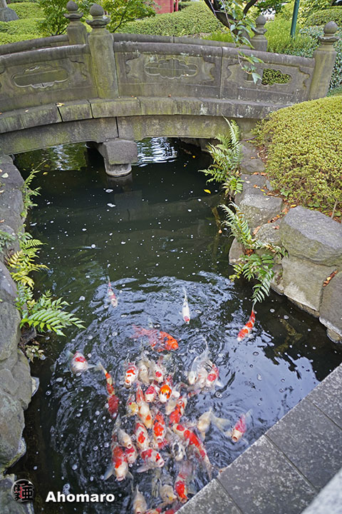 写真00
